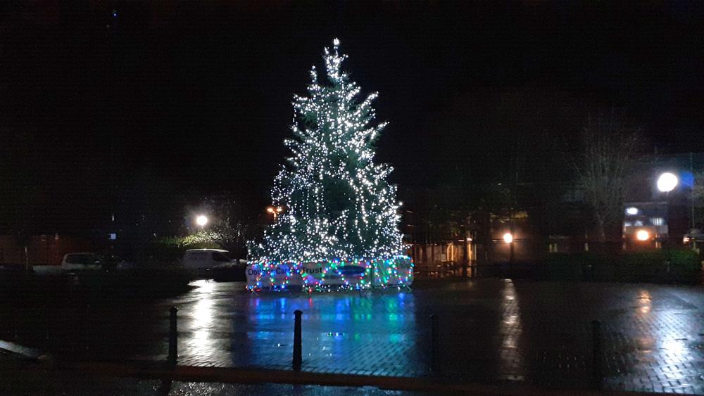 Tarleton Christmas Tree..jpg