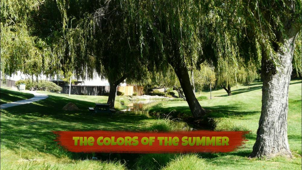 The Colors of the Summer.jpg
