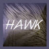 Hawk